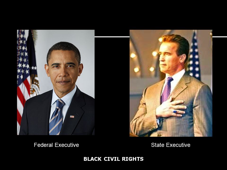 BLACK CIVIL RIGHTS Federal ExecutiveState Executive