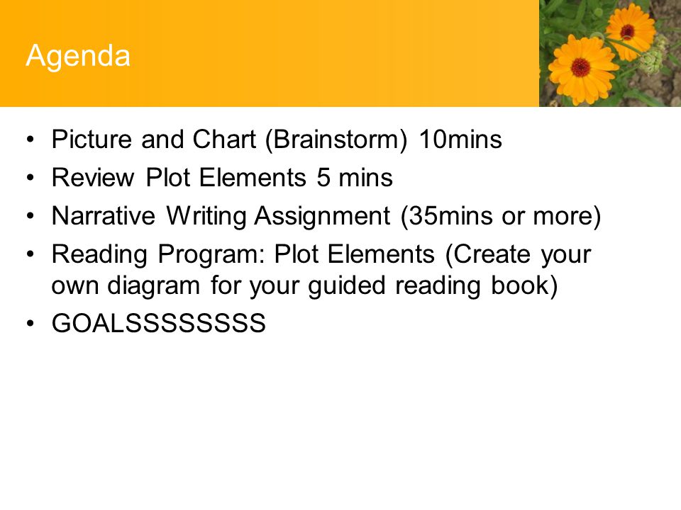Agenda Picture and Chart (Brainstorm) 10mins Review Plot Elements 5 mins Narrative Writing Assignment (35mins or more) Reading Program: Plot Elements (Create your own diagram for your guided reading book) GOALSSSSSSSS