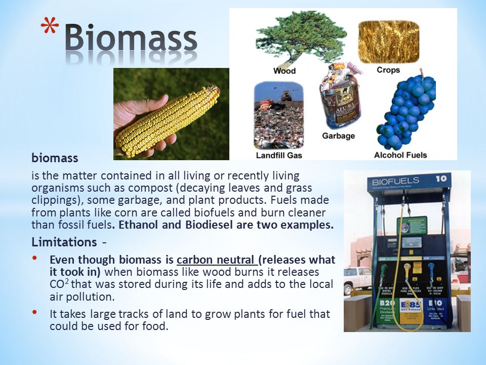 biomass is the matter contained in all living or recently living organisms such as compost (decaying leaves and grass clippings), some garbage, and plant products.