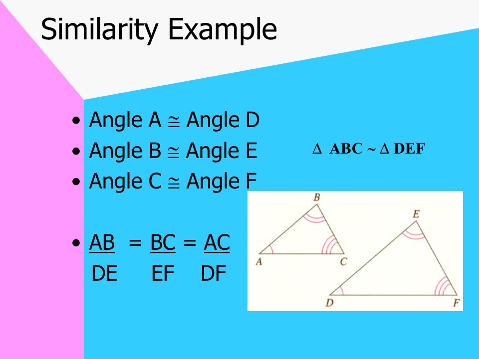 Similarity Has same shape All corresponding pairs of angles are congruent Corresponding pairs of sides are in proportion