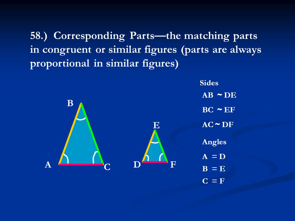 58.) Corresponding Parts—the matching parts in congruent or similar figures (parts are always proportional in similar figures) A B C DF E AB ~ DE BC ~ EF AC ~ DF Sides Angles C = F B = E A = D