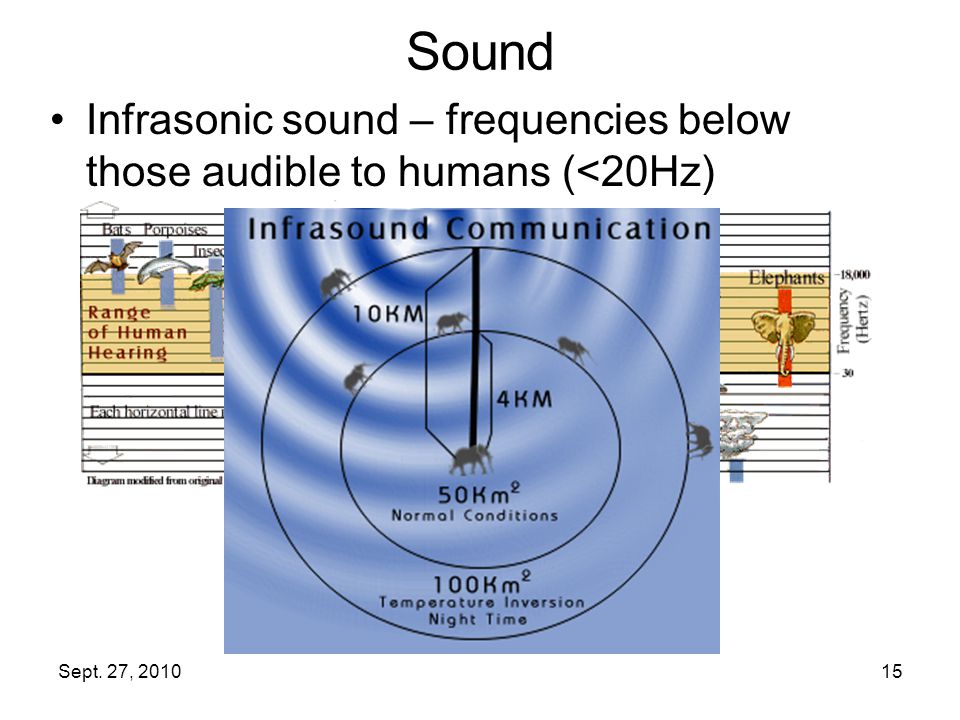 Sept. 27, Sound Infrasonic sound – frequencies below those audible to humans (<20Hz)