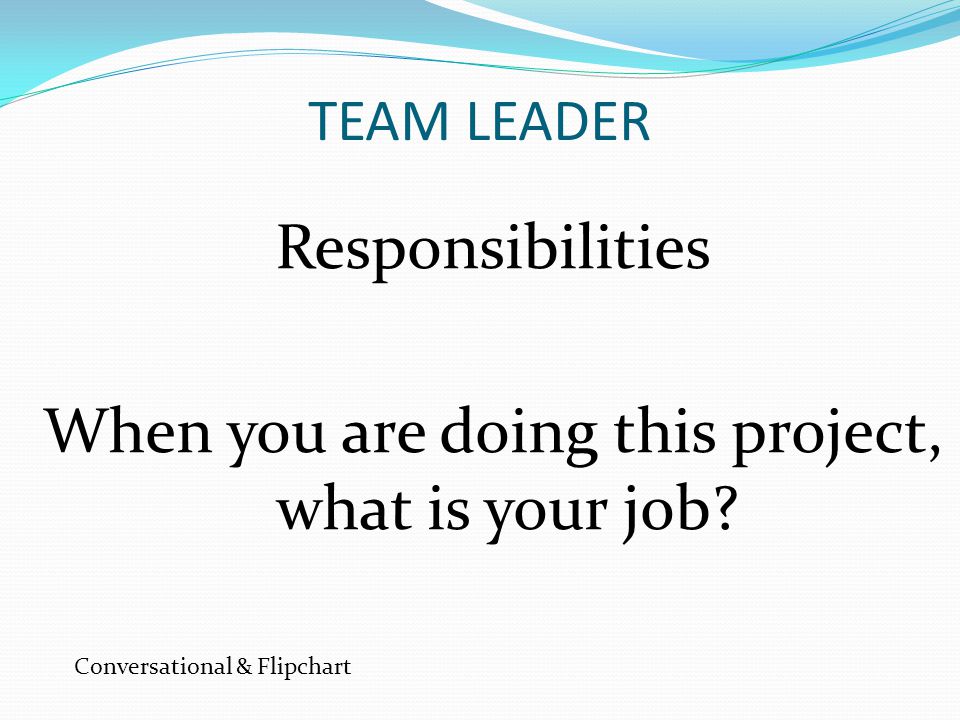 TEAM LEADER Responsibilities When you are doing this project, what is your job.