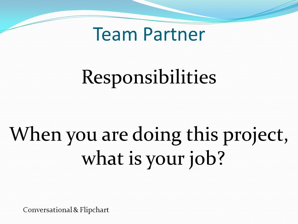 Team Partner Responsibilities When you are doing this project, what is your job.