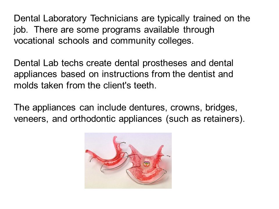 Dental Laboratory Technicians are typically trained on the job.