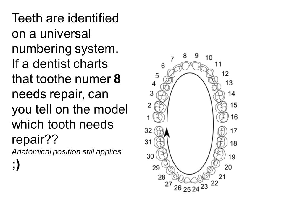Teeth are identified on a universal numbering system.