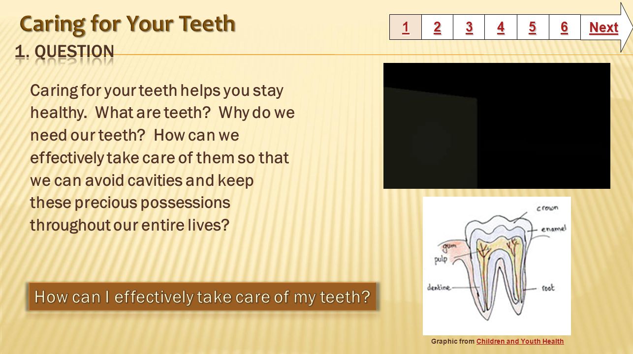 Caring for your teeth helps you stay healthy. What are teeth.