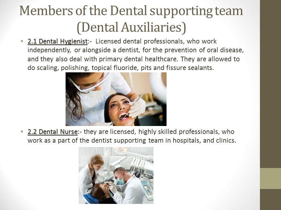 Members of the Dental supporting team (Dental Auxiliaries) 2.1 Dental Hygienist 2.1 Dental Hygienist:- Licensed dental professionals, who work independently, or alongside a dentist, for the prevention of oral disease, and they also deal with primary dental healthcare.