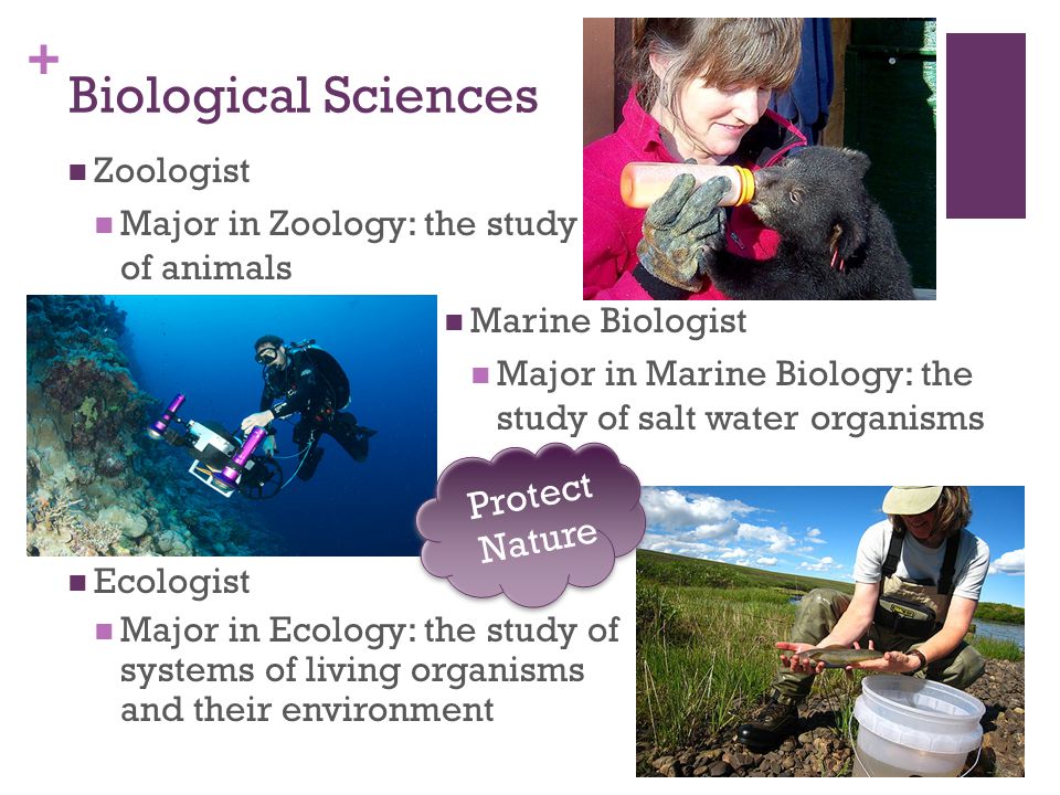 + Biological Sciences Zoologist Major in Zoology: the study of animals Marine Biologist Major in Marine Biology: the study of salt water organisms Ecologist Major in Ecology: the study of systems of living organisms and their environment Protect Nature