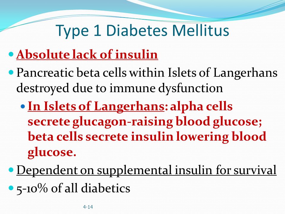 Type 1 Diabetes Mellitus Absolute lack of insulin Pancreatic beta cells within Islets of Langerhans destroyed due to immune dysfunction In Islets of Langerhans: alpha cells secrete glucagon-raising blood glucose; beta cells secrete insulin lowering blood glucose.