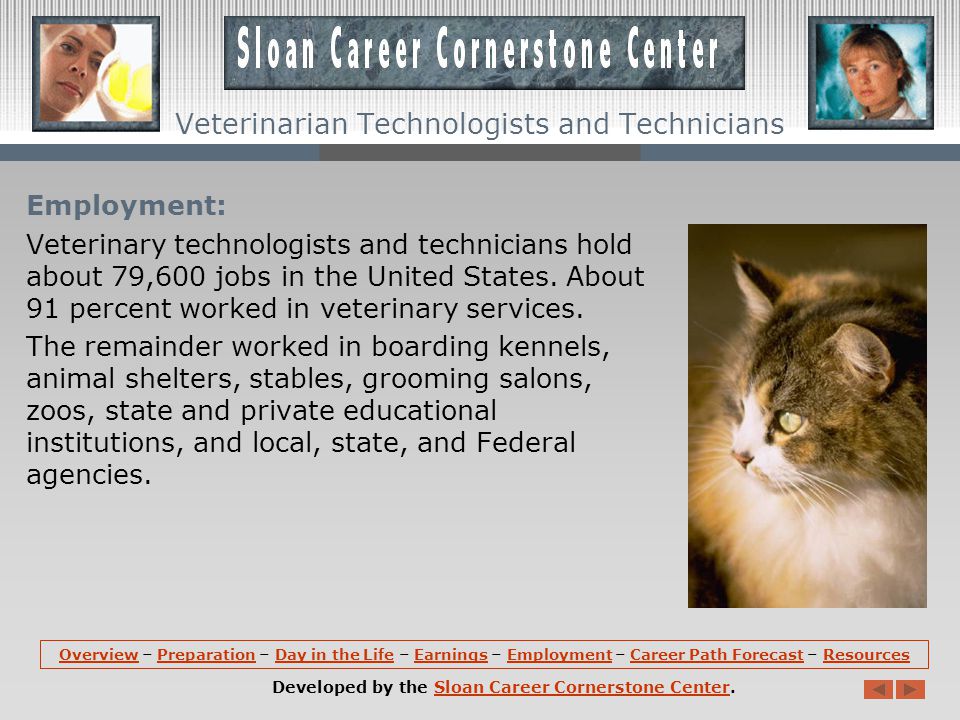 Earnings: Median annual wages of veterinary technologists and technicians is $28,900.