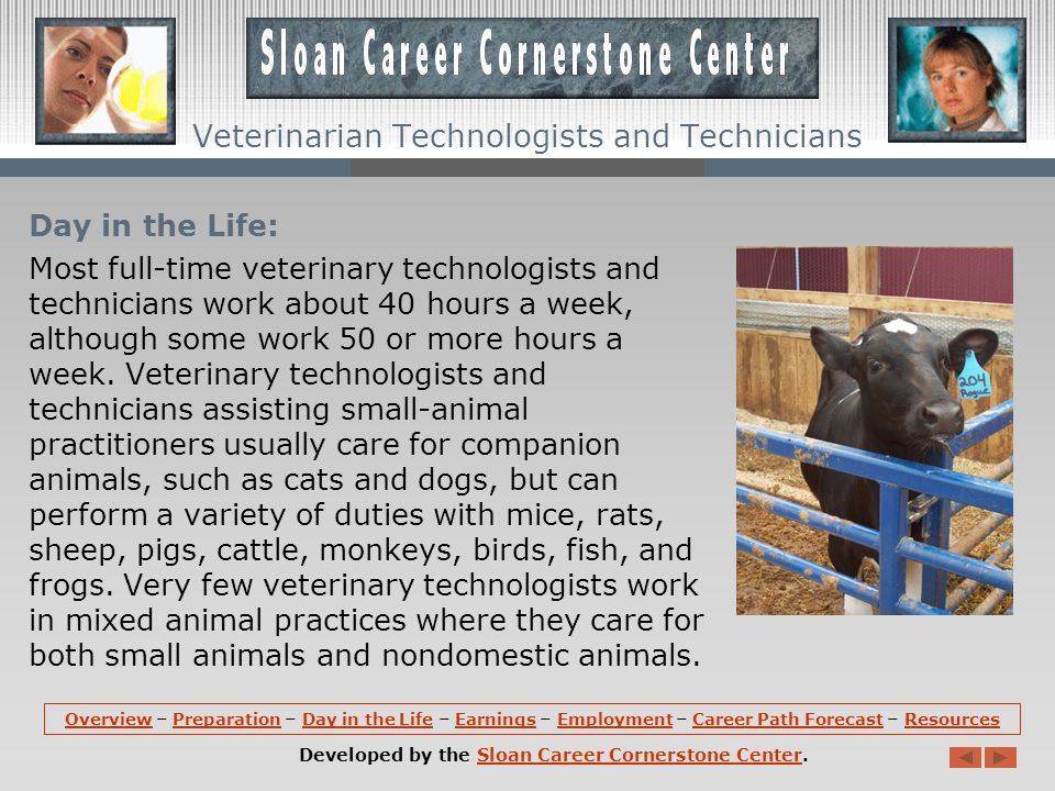 Preparation (continued): In the United States, veterinary technology programs are accredited by the American Veterinary Medical Association.