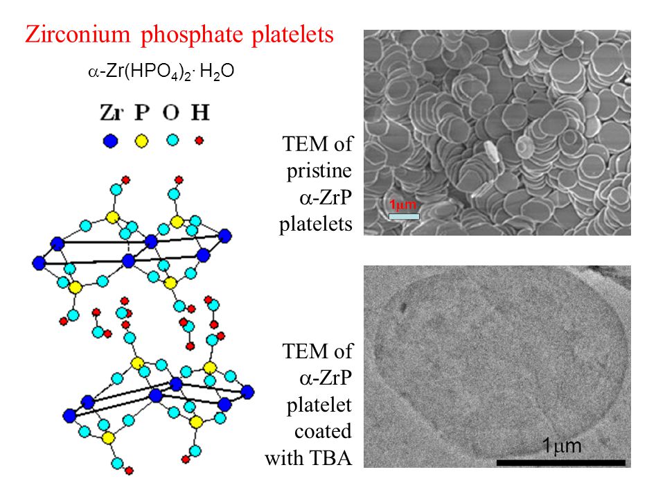Zirconium phosphate platelets TEM of pristine  -ZrP platelets TEM of  -ZrP platelet coated with TBA  -Zr(HPO 4 ) 2 · H 2 O