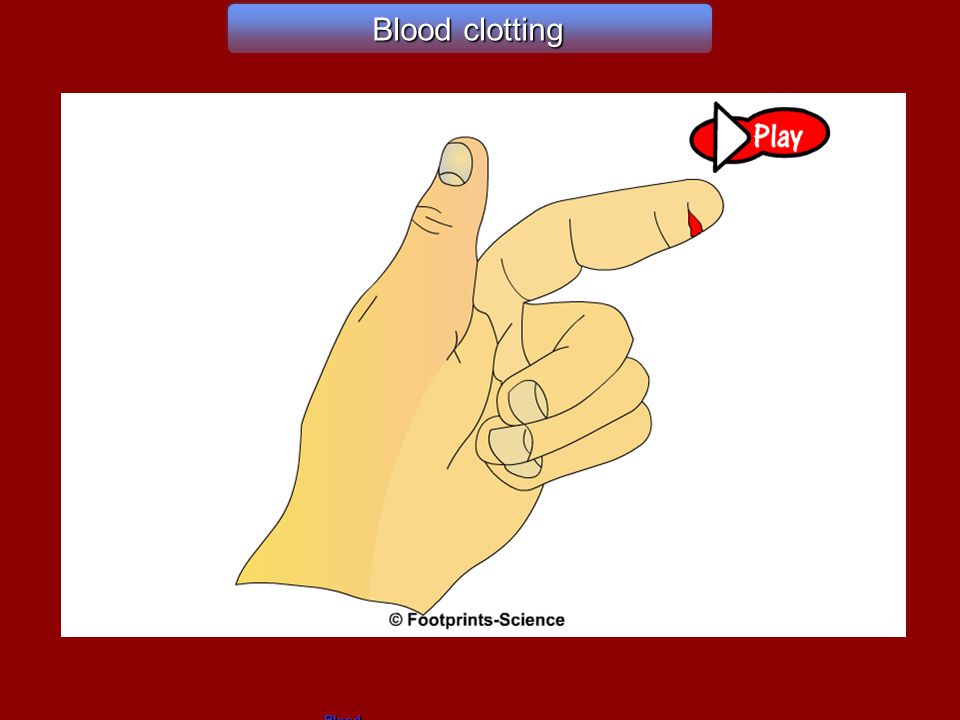 Blood clotting