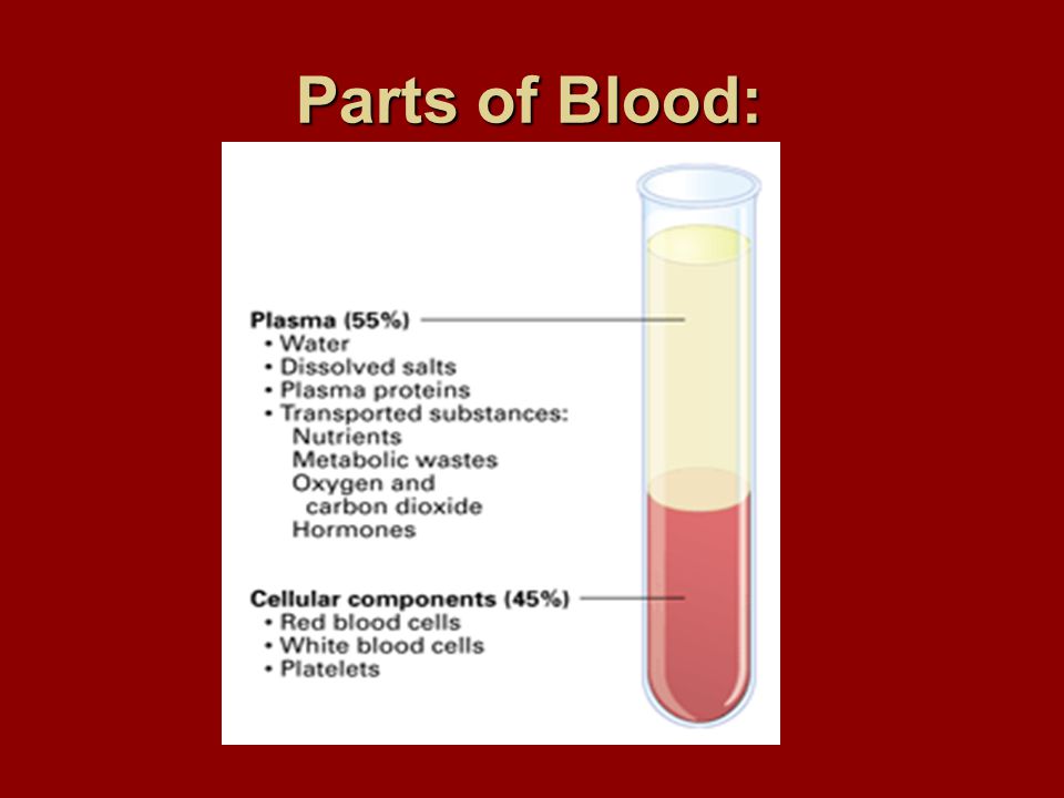 Parts of Blood: