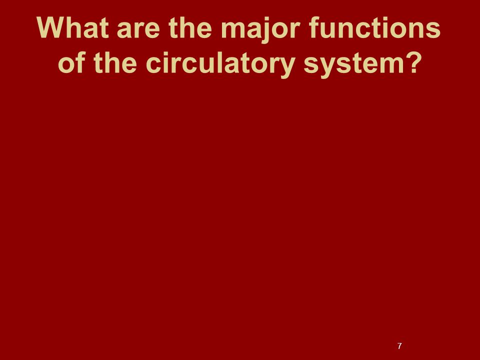 What are the major functions of the circulatory system 7