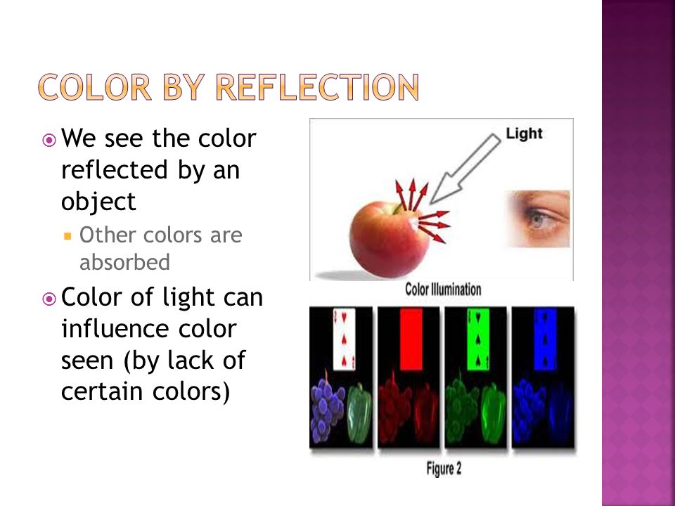  We see the color reflected by an object  Other colors are absorbed  Color of light can influence color seen (by lack of certain colors)