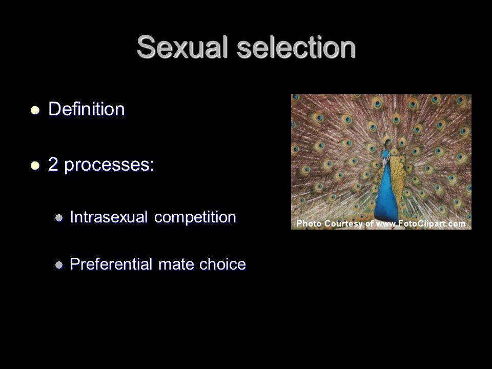 Sexual selection Definition Definition 2 processes: 2 processes: Intrasexual competition Intrasexual competition Preferential mate choice Preferential mate choice
