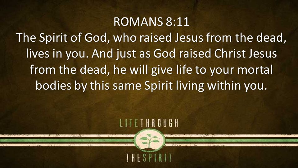 ROMANS 8:11 The Spirit of God, who raised Jesus from the dead, lives in you.