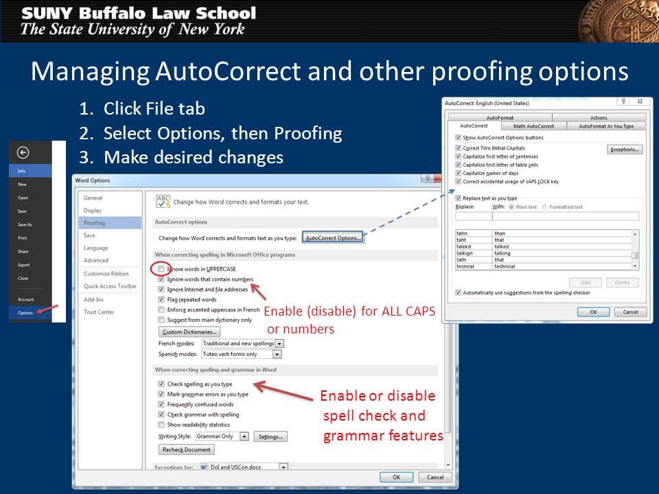 disable spelling and grammar check word 2011