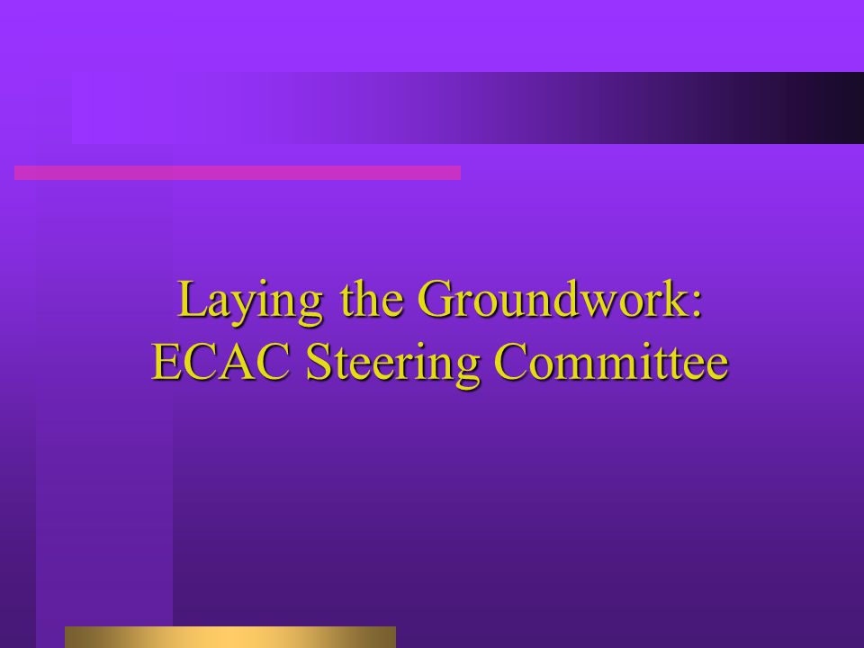 Laying the Groundwork: ECAC Steering Committee