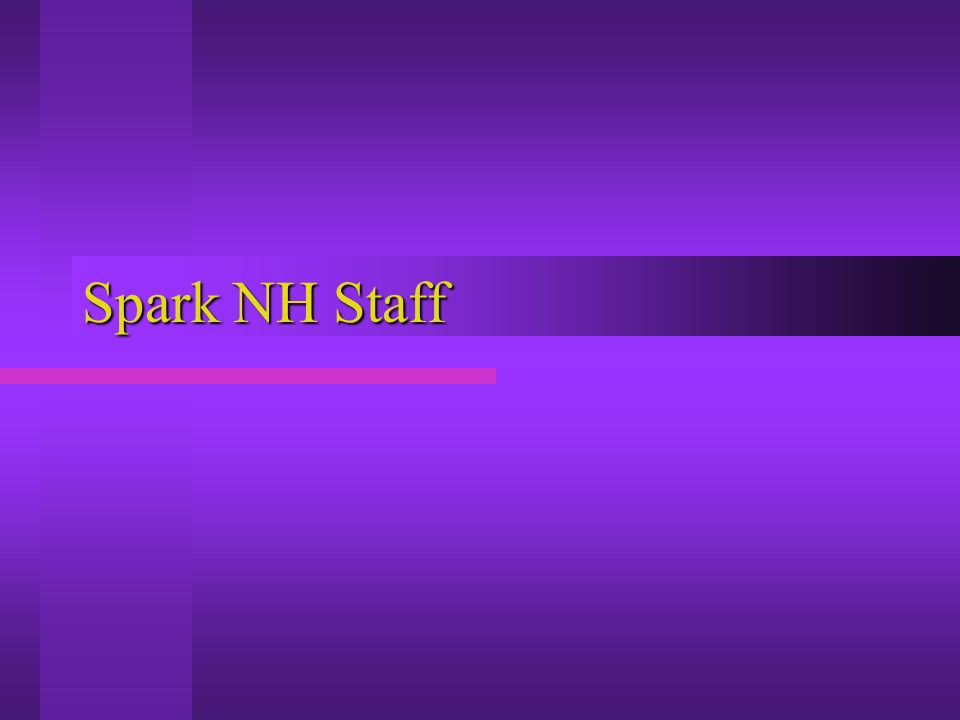 Spark NH Staff
