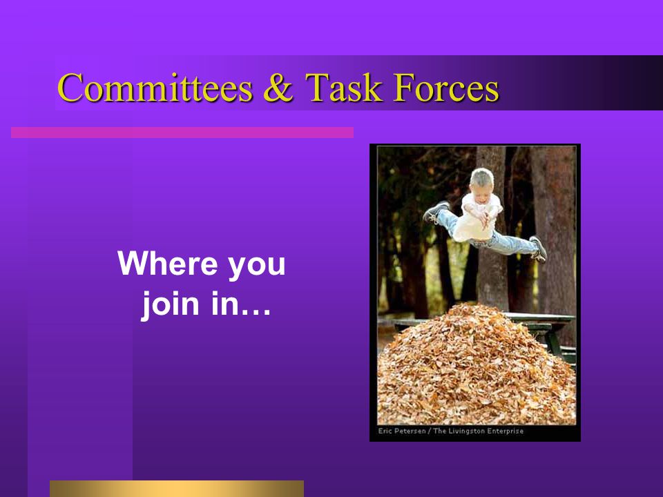 Committees & Task Forces Where you join in…