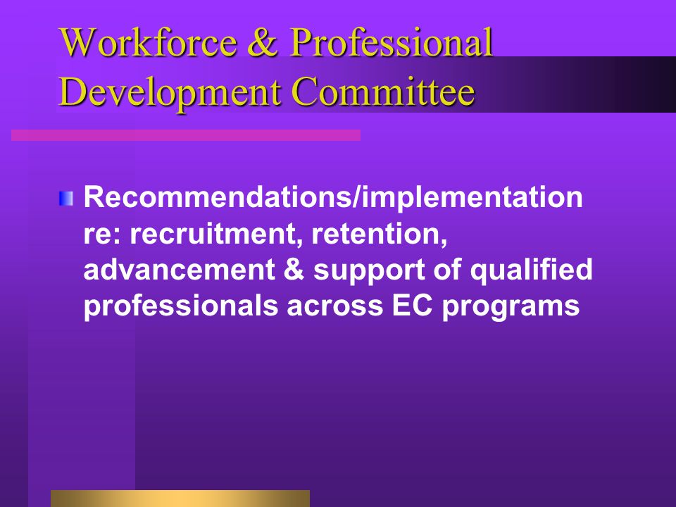 Workforce & Professional Development Committee Recommendations/implementation re: recruitment, retention, advancement & support of qualified professionals across EC programs