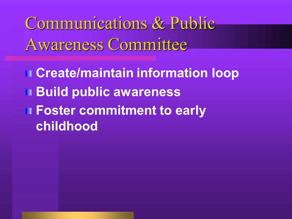 Communications & Public Awareness Committee Create/maintain information loop Build public awareness Foster commitment to early childhood