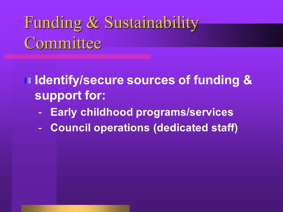 Funding & Sustainability Committee Identify/secure sources of funding & support for: -Early childhood programs/services -Council operations (dedicated staff)