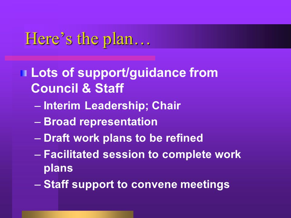 Here’s the plan… Lots of support/guidance from Council & Staff –Interim Leadership; Chair –Broad representation –Draft work plans to be refined –Facilitated session to complete work plans –Staff support to convene meetings