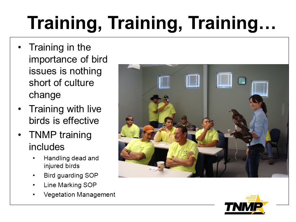 Training, Training, Training… Training in the importance of bird issues is nothing short of culture change Training with live birds is effective TNMP training includes Handling dead and injured birds Bird guarding SOP Line Marking SOP Vegetation Management