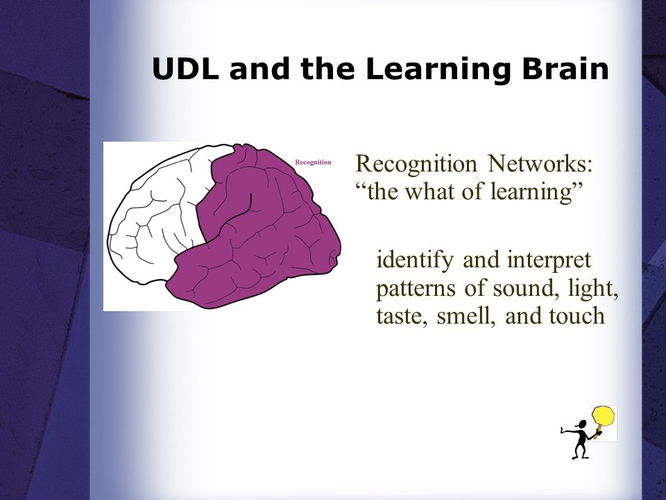 Recognition Networks: the what of learning identify and interpret patterns of sound, light, taste, smell, and touch UDL and the Learning Brain