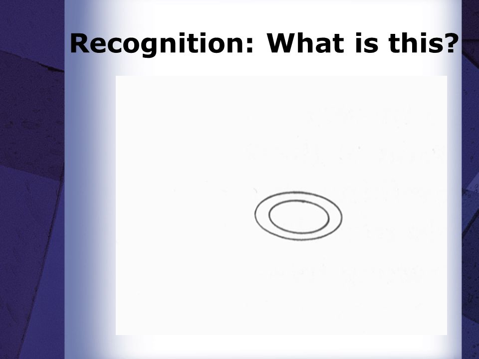 Recognition: What is this