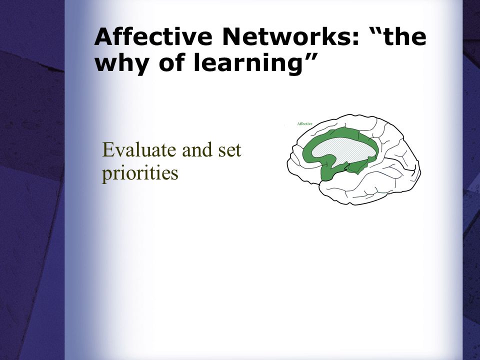 Evaluate and set priorities Affective Networks: the why of learning