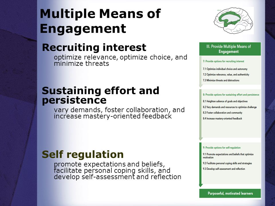 Multiple Means of Engagement Recruiting interest optimize relevance, optimize choice, and minimize threats Sustaining effort and persistence vary demands, foster collaboration, and increase mastery-oriented feedback Self regulation promote expectations and beliefs, facilitate personal coping skills, and develop self-assessment and reflection