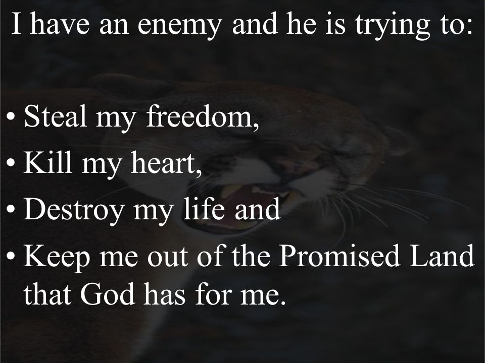 I have an enemy and he is trying to: Steal my freedom, Kill my heart, Destroy my life and Keep me out of the Promised Land that God has for me.