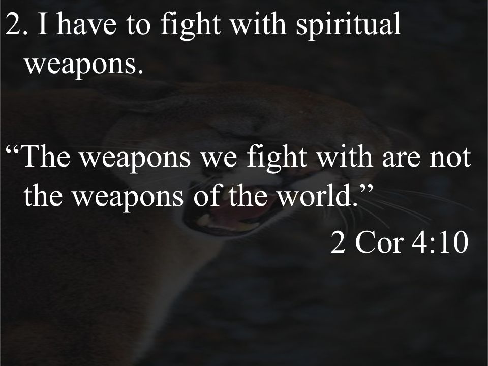 2. I have to fight with spiritual weapons.