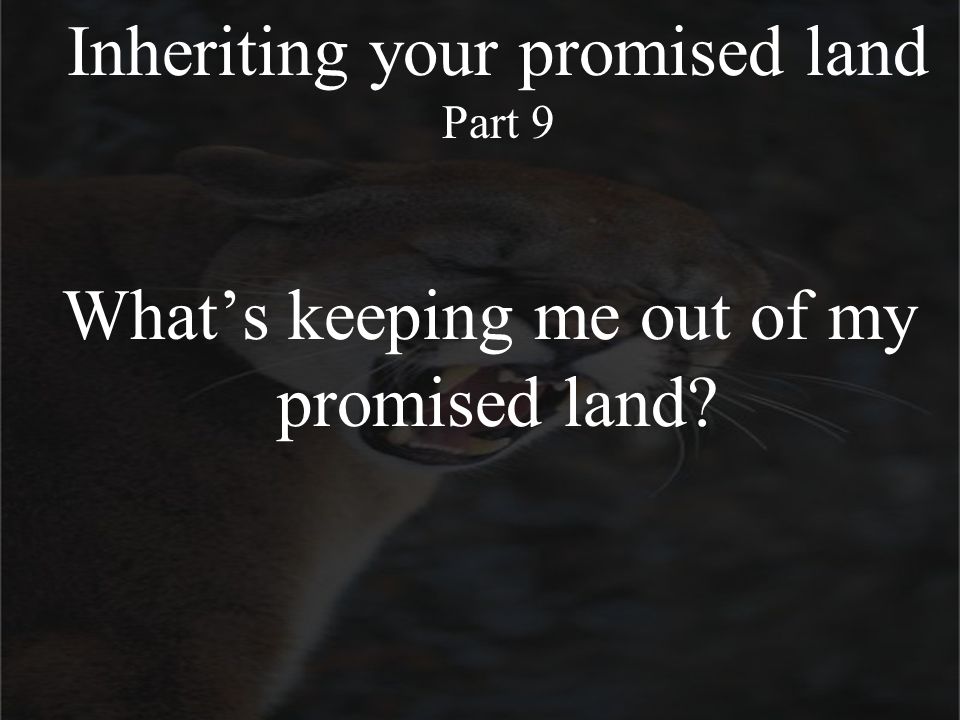 Inheriting your promised land Part 9 What’s keeping me out of my promised land