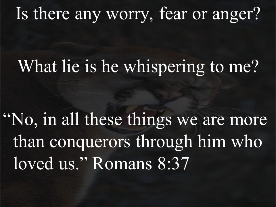 Is there any worry, fear or anger. What lie is he whispering to me.