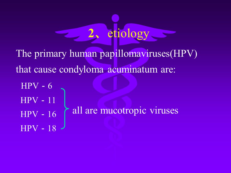 Condyloma acuminata meaning, Do all types of HPV cause cancer? papillomavirus cane cause