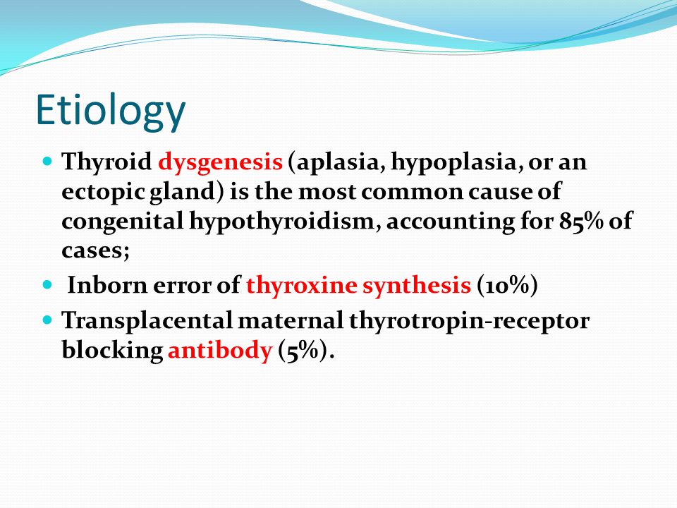 Thyroid Hypoplasia as a Cause of Congenital Hypothyroidism in