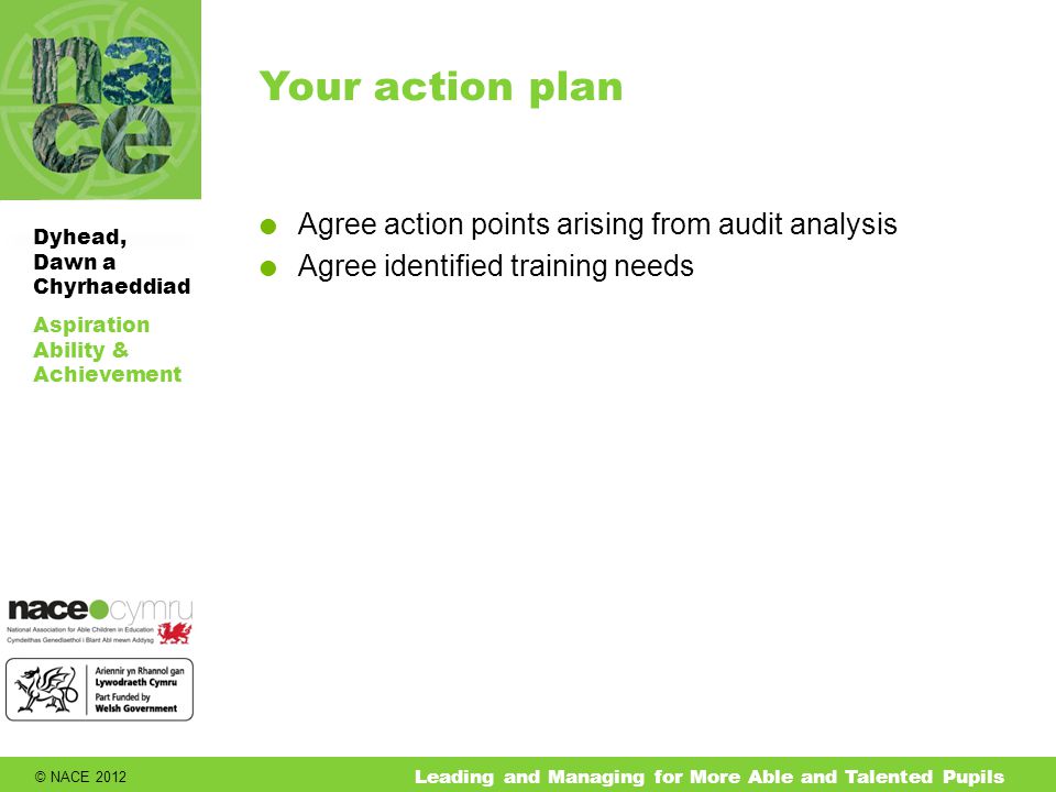 © NACE 2012 Aspiration Ability & Achievement Dyhead, Dawn a Chyrhaeddiad Leading and Managing for More Able and Talented Pupils Your action plan  Agree action points arising from audit analysis  Agree identified training needs