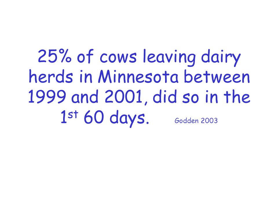 25% of cows leaving dairy herds in Minnesota between 1999 and 2001, did so in the 1 st 60 days.