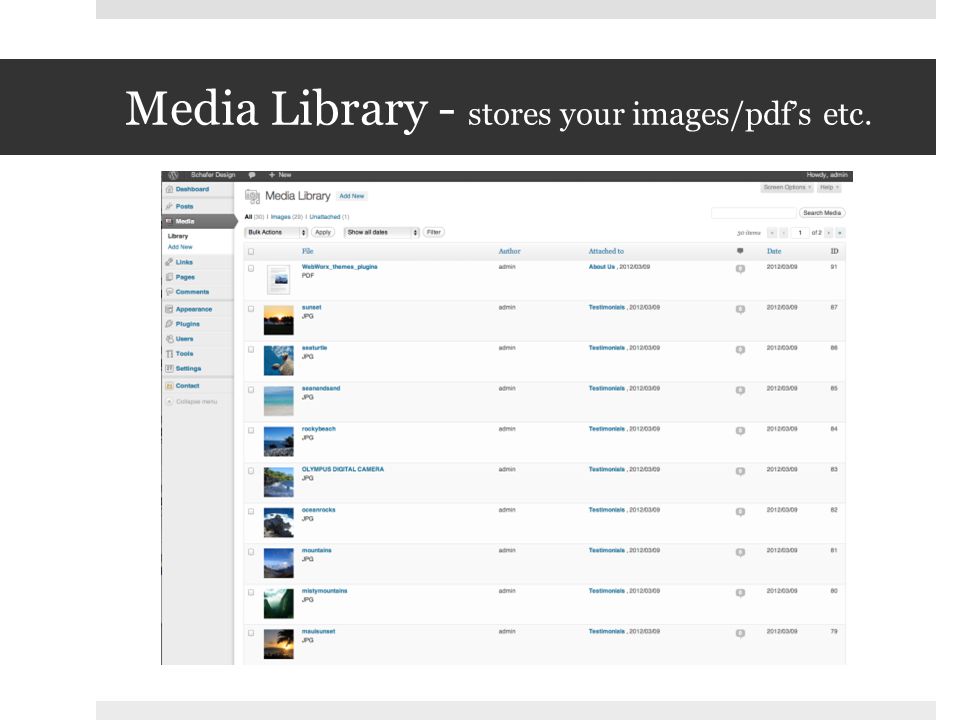 Media Library - stores your images/pdf’s etc.