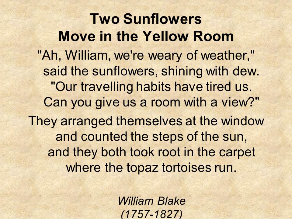 Two Sunflowers Move in the Yellow Room Ah, William, we re weary of weather, said the sunflowers, shining with dew.