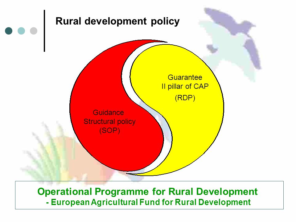 Rural development policy Guidance Structural policy (SOP) Guarantee II pillar of CAP (RDP) Operational Programme for Rural Development - European Agricultural Fund for Rural Development