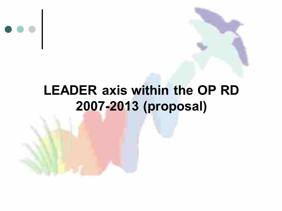 LEADER axis within the OP RD (proposal)