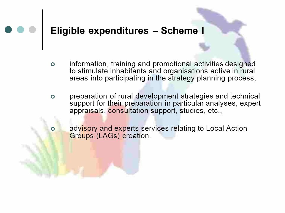 Eligible expenditures – Scheme I information, training and promotional activities designed to stimulate inhabitants and organisations active in rural areas into participating in the strategy planning process, preparation of rural development strategies and technical support for their preparation in particular analyses, expert appraisals, consultation support, studies, etc., advisory and experts services relating to Local Action Groups (LAGs) creation.