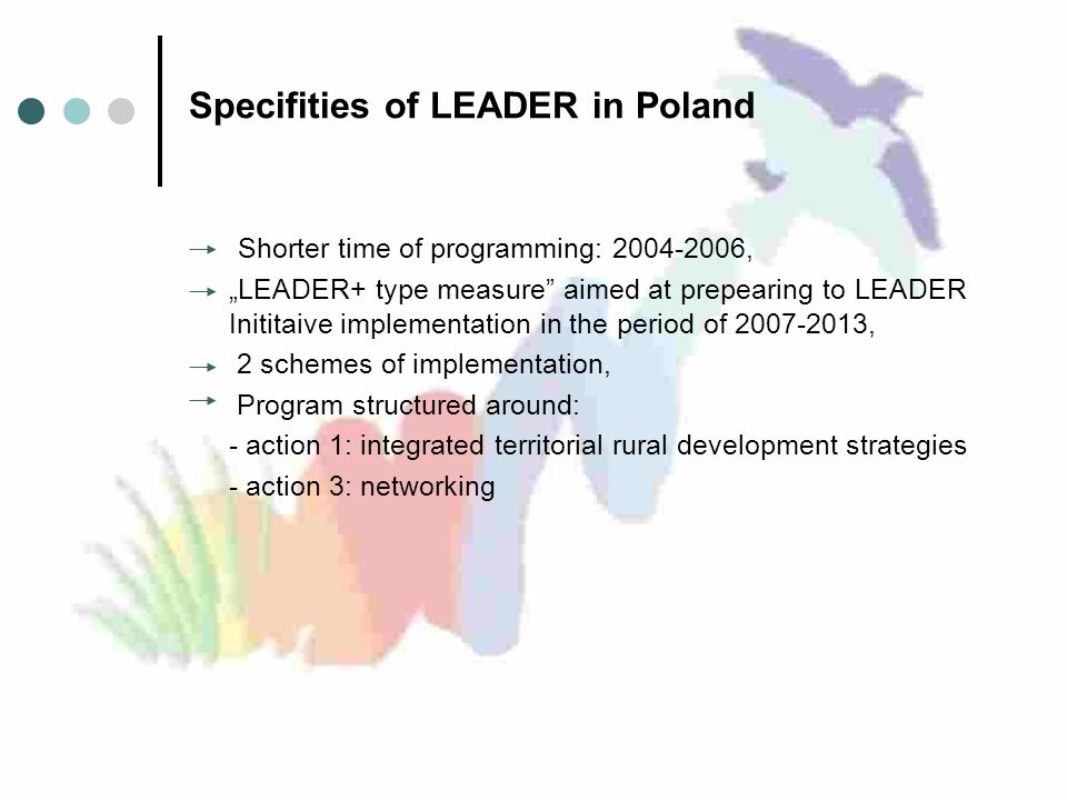 Specifities of LEADER in Poland Shorter time of programming: , „LEADER+ type measure aimed at prepearing to LEADER Inititaive implementation in the period of , 2 schemes of implementation, Program structured around: - action 1: integrated territorial rural development strategies - action 3: networking